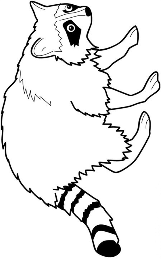 racoon coloring pages - photo #28