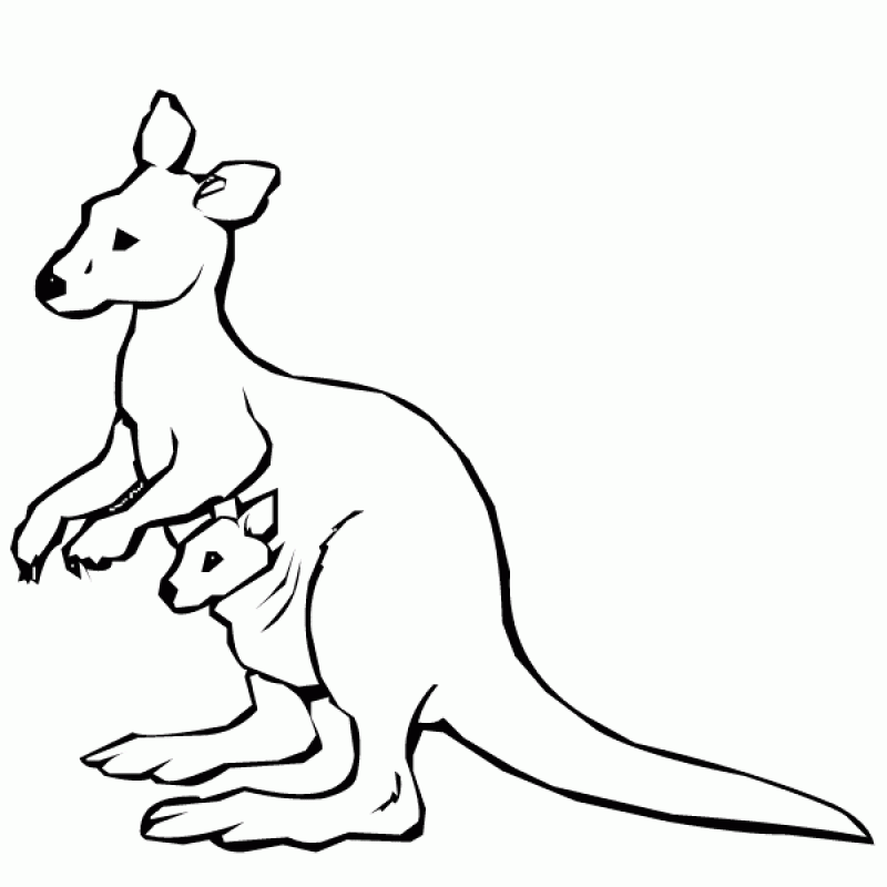 Coloring Pages A Kangaroo - HD Printable Coloring Pages