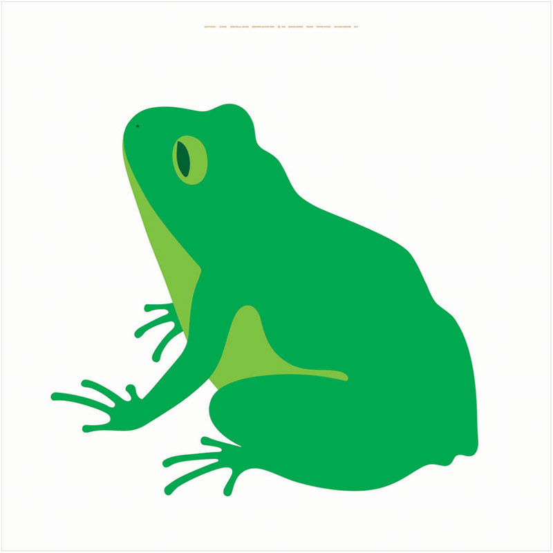 Enzo Mari Green Frog Poster: La Rana | NOVA68 Modern Design