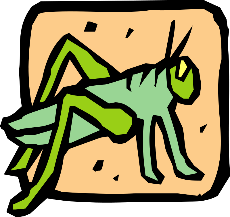 Insect 39 Free Vector / 4Vector