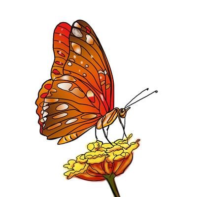 FREE Butterfly Clip Art 23