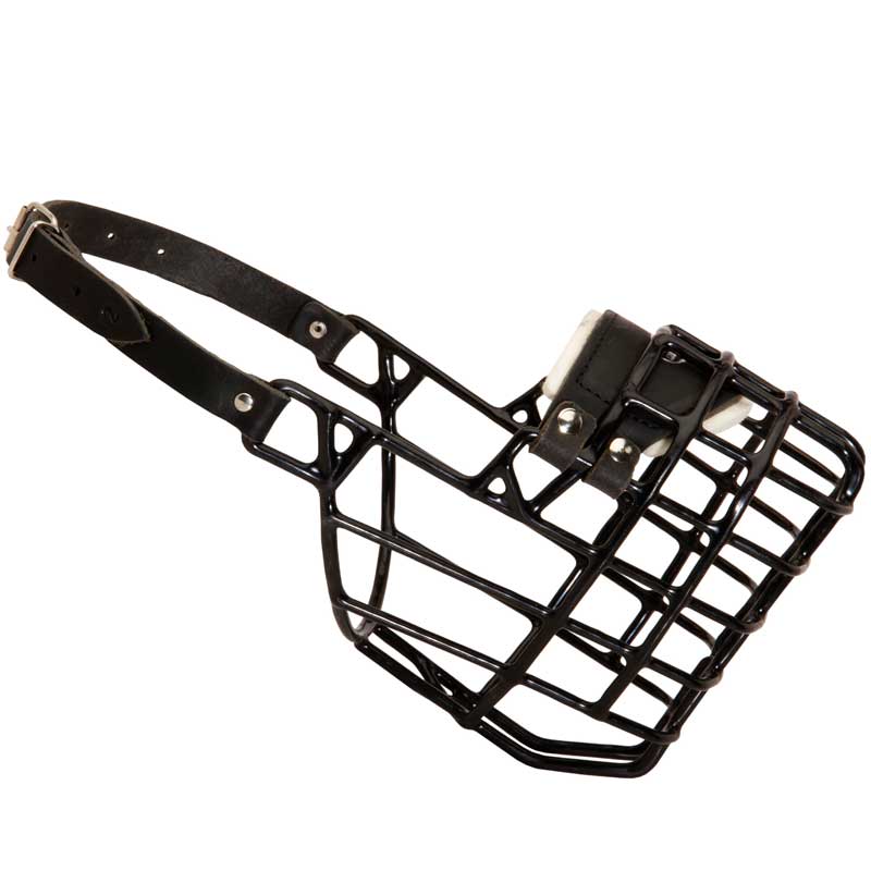Wire Cage Rottweiler Dog Muzzle with One Strap for Winter ...