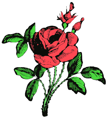 Free Rose Clipart - Public Domain Flower clip art, images and graphics