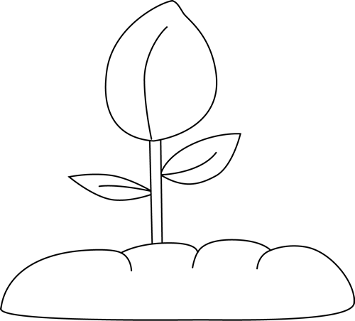 Black And White Plant - Cliparts.co