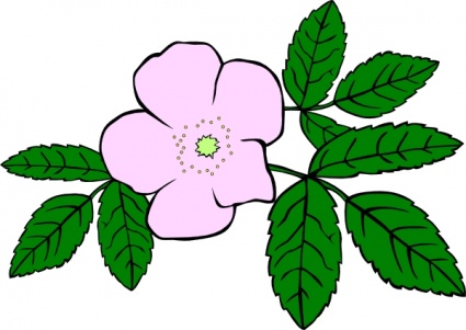 Rose clip art - Download free Nature vectors - ClipArt Best ...