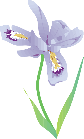 free iris flower clipart - photo #9