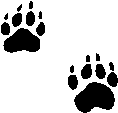Grizzly Paw Print Clip Art - ClipArt Best
