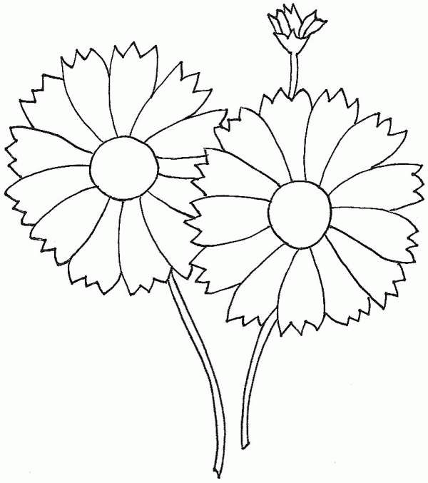 free flowers template that you can print out and use in your craft ...