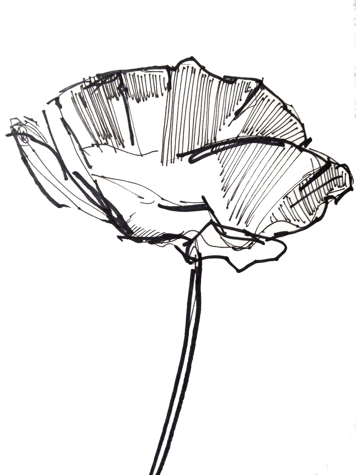 Easy Flower Sketch - ClipArt Best