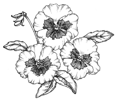 Flowers Drawing Pages - Cliparts.co