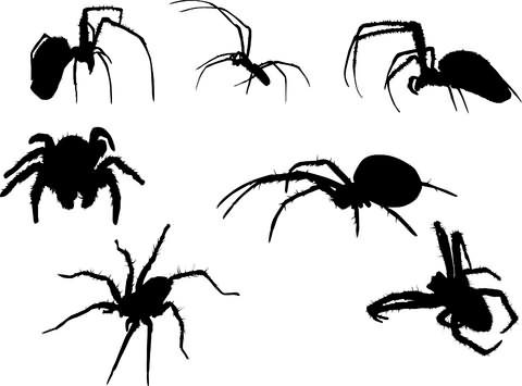 black-spider-tattoo-designs- ...