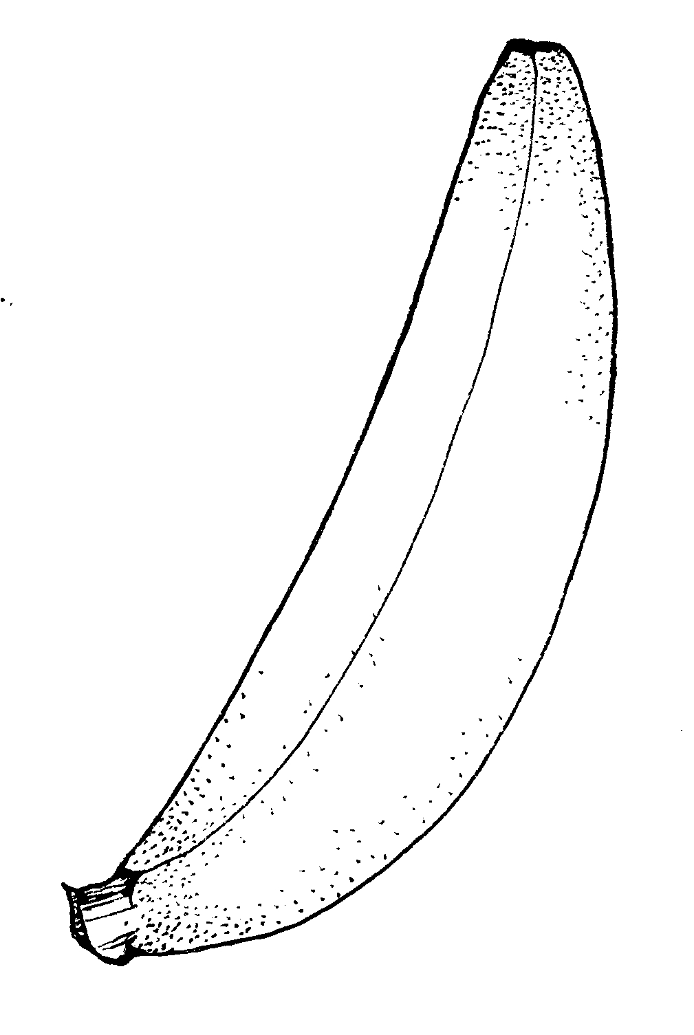 Jenny Smith's LDS Ideas :: Banana
