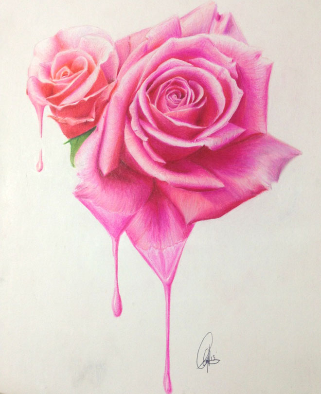 flower drawings rose 1 - preview