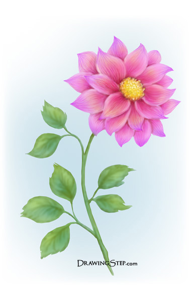 How to Draw a Flower Step by Step - Beautiful Flower Drawing