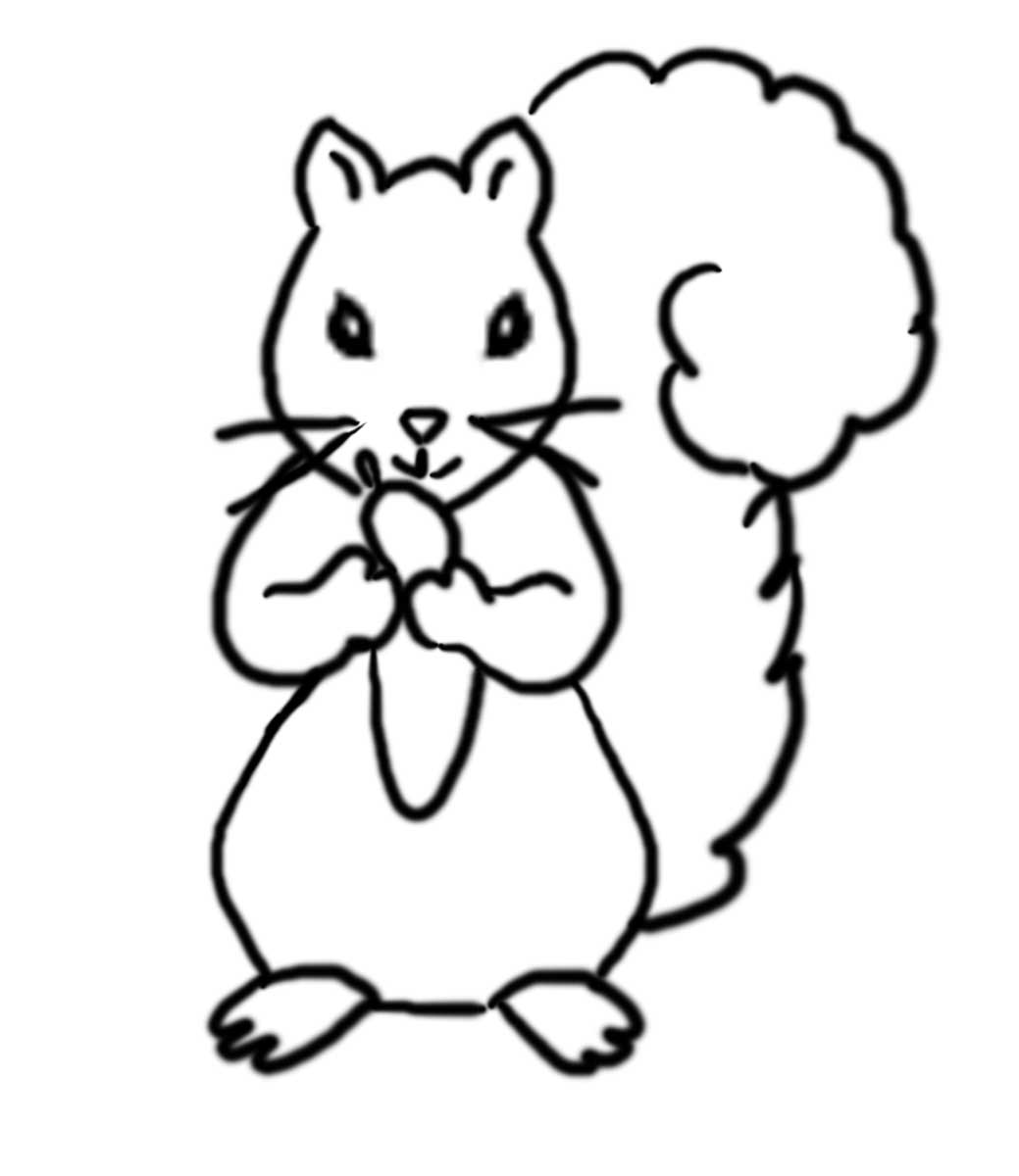 Squirrel coloring page - Coloring Pages & Pictures - IMAGIXS