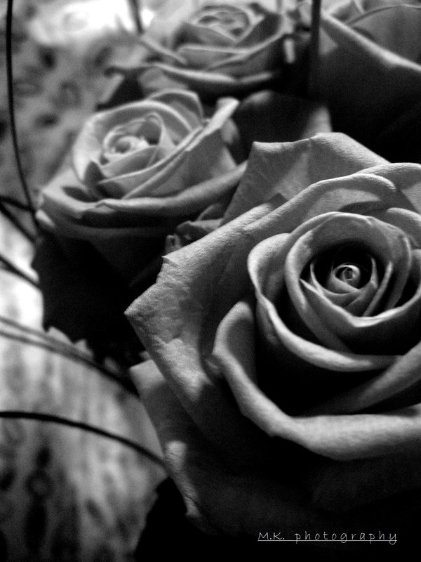 Roses are Black and White by MK--photography on DeviantArt