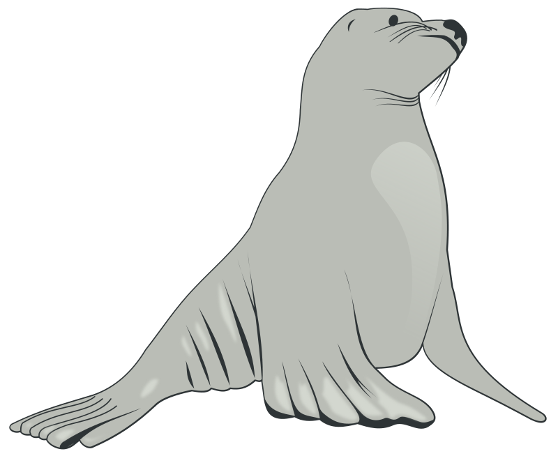 Free to Use & Public Domain Sea Lion Clip Art