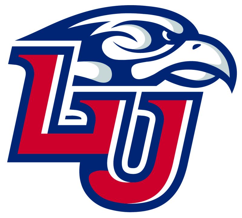 Liberty Volleyball Picked to Repeat as Champions - WSET.com - ABC13