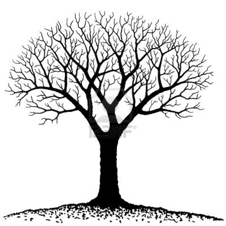Tree of life ideas on Pinterest