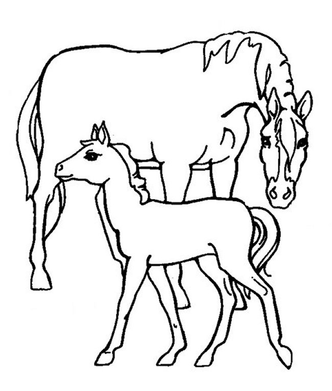 Free Horse Drawings