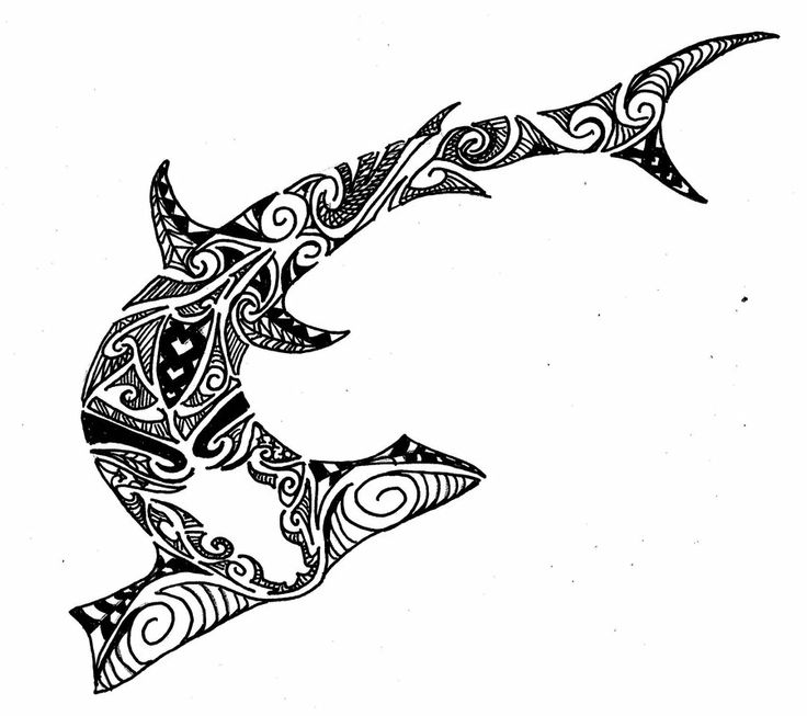 Hammer Shark | Graphics/Drawings | Pinterest