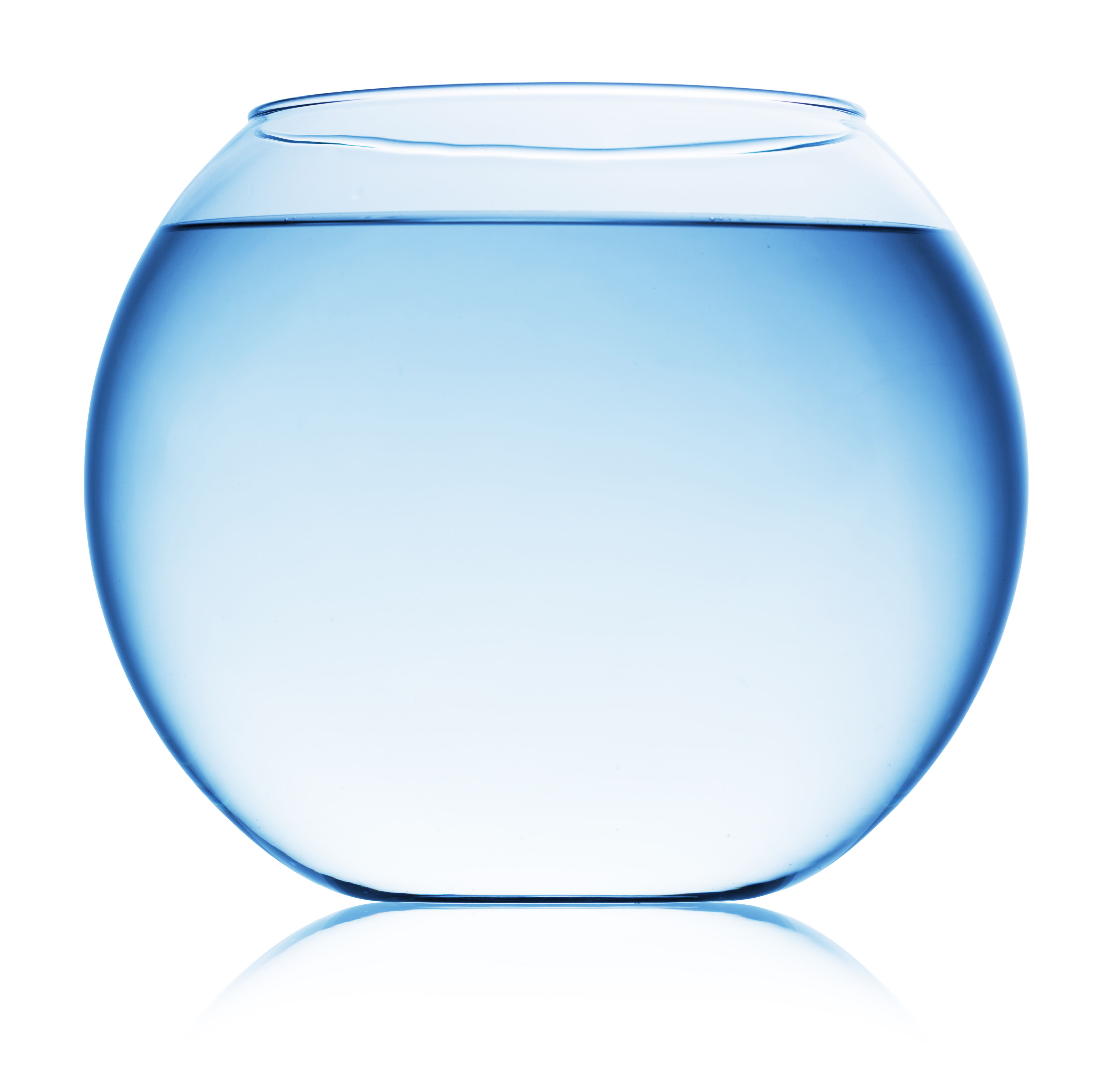 Fish Bowl Template - HD Photos Gallery