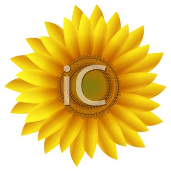 Sunflower Photography | Clipart Panda - Free Clipart Images