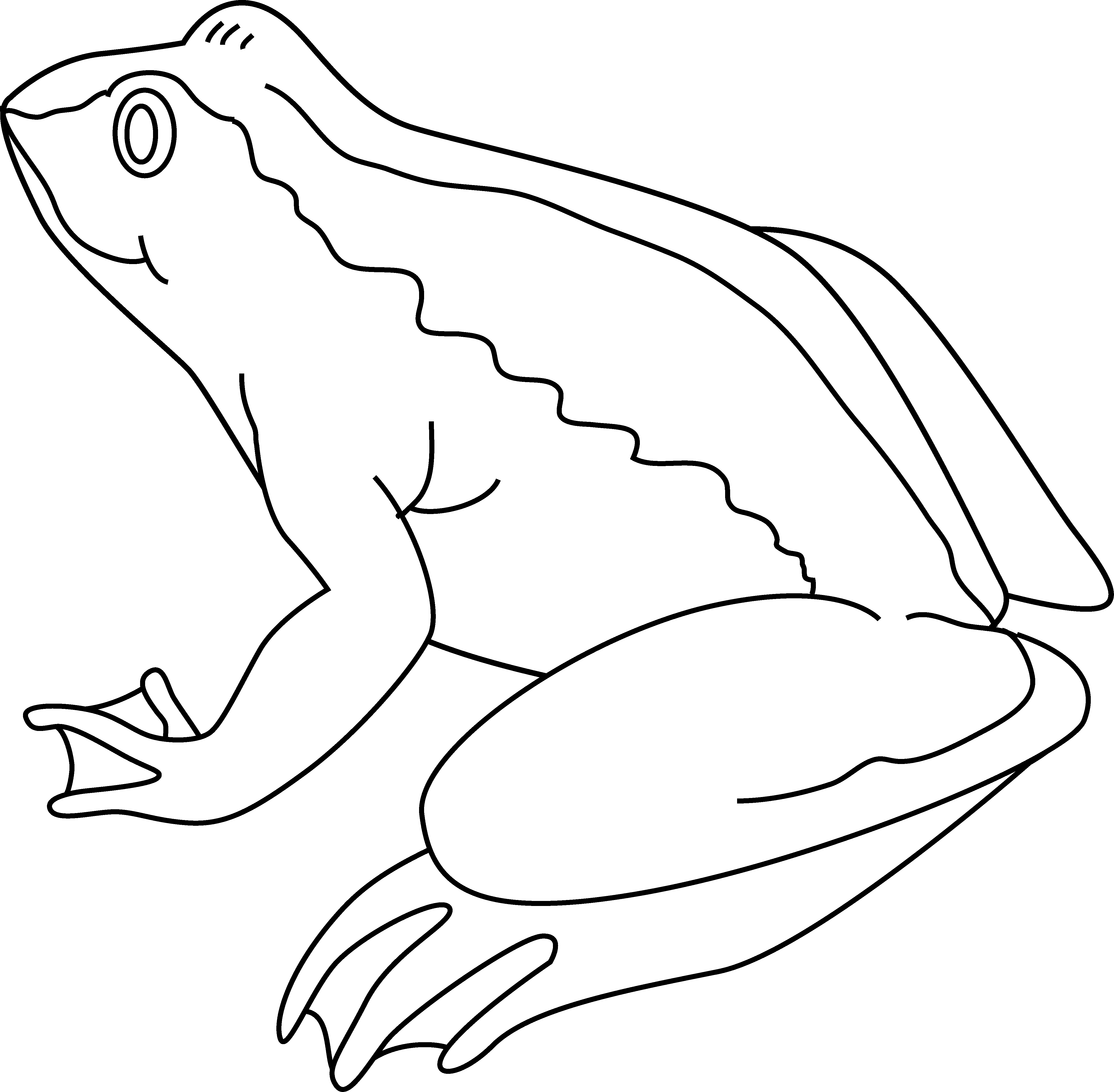 Frog Coloring Page - Free Clip Art