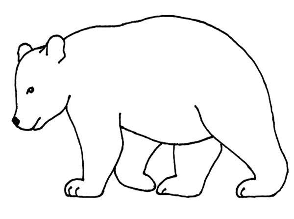 bear outline Colouring Pages