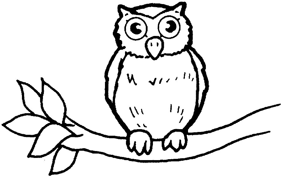 owl sillouette Colouring Pages