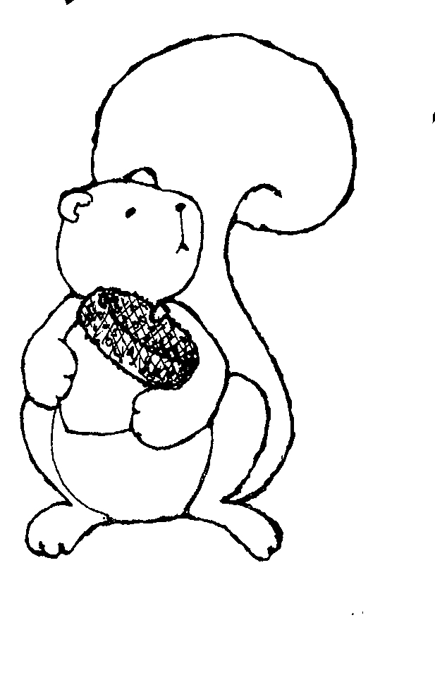 Pix For > Clipart Squirrel Black And White