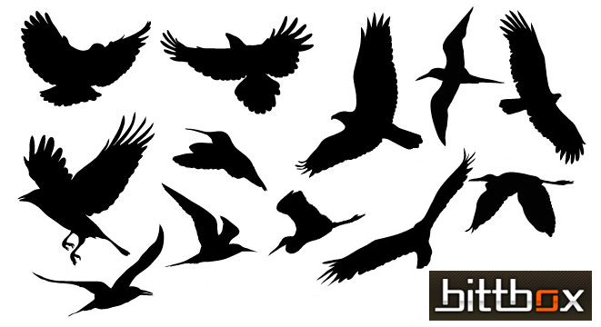 Free Vector Birds - All-Silhouettes