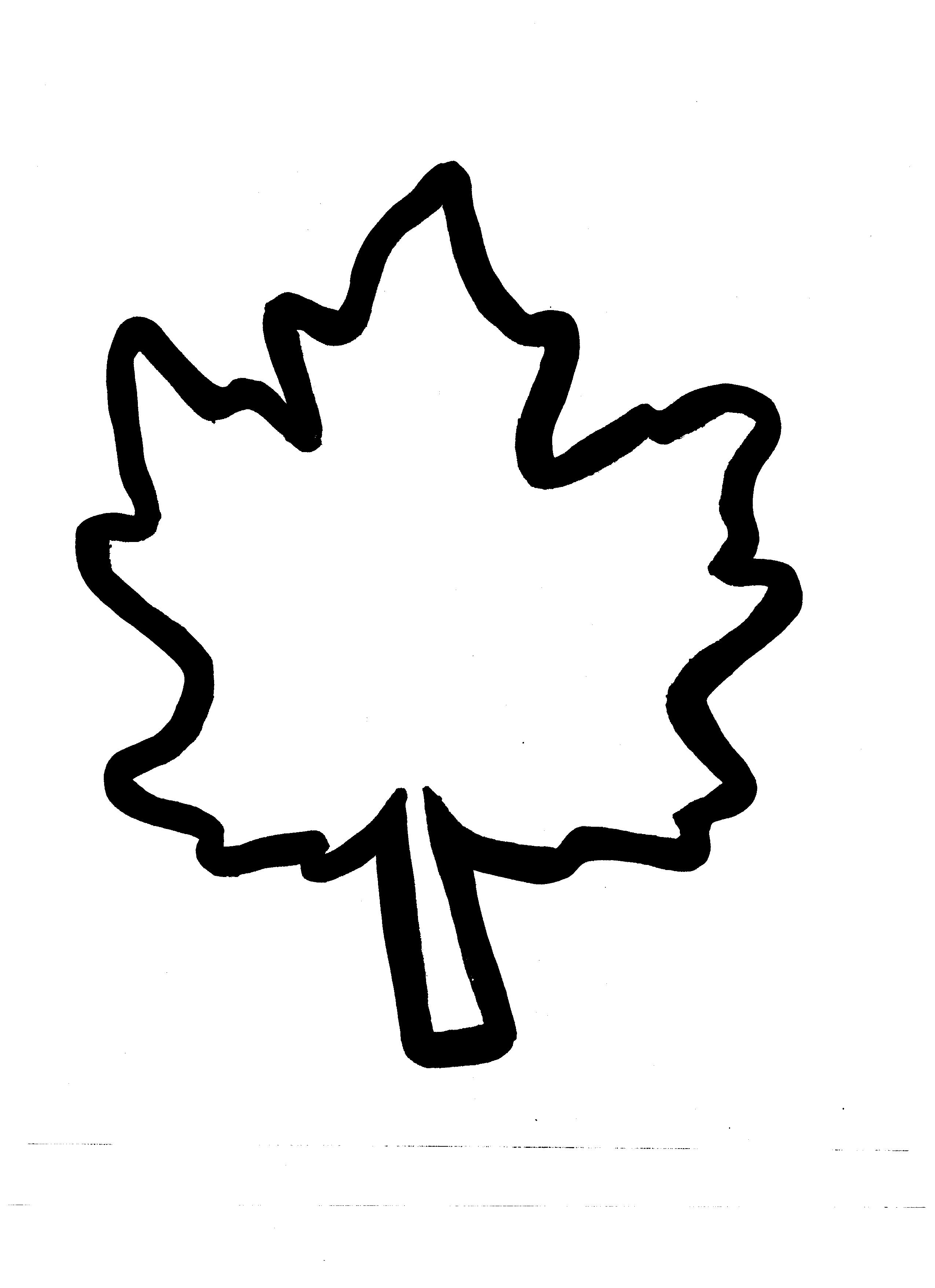 Autumn Leaf Outline - Cliparts.co