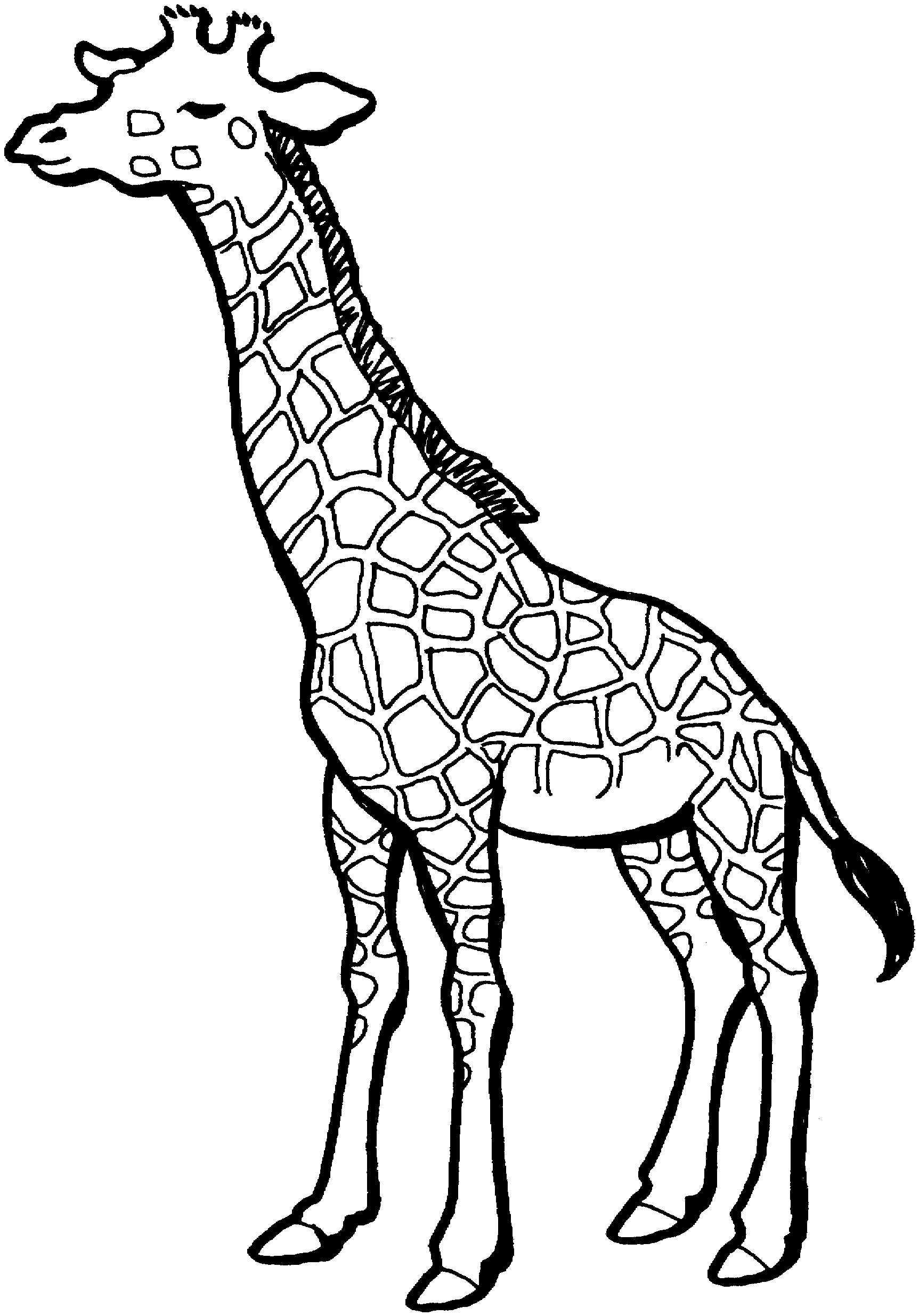 Giraffe Head Coloring Pages | Clipart Panda - Free Clipart Images