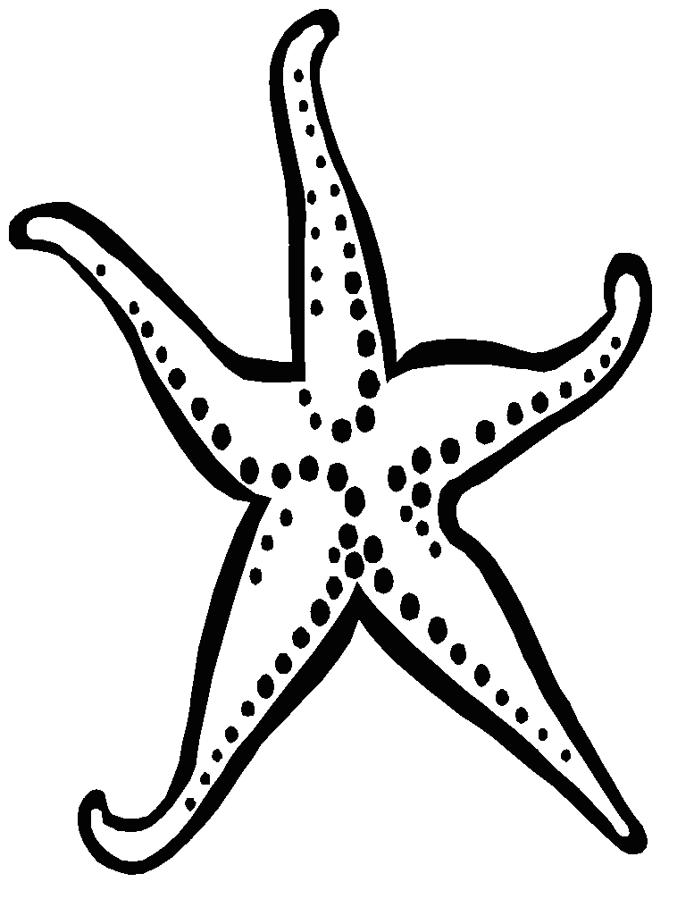 starfish clip art, | Clipart Panda - Free Clipart Images