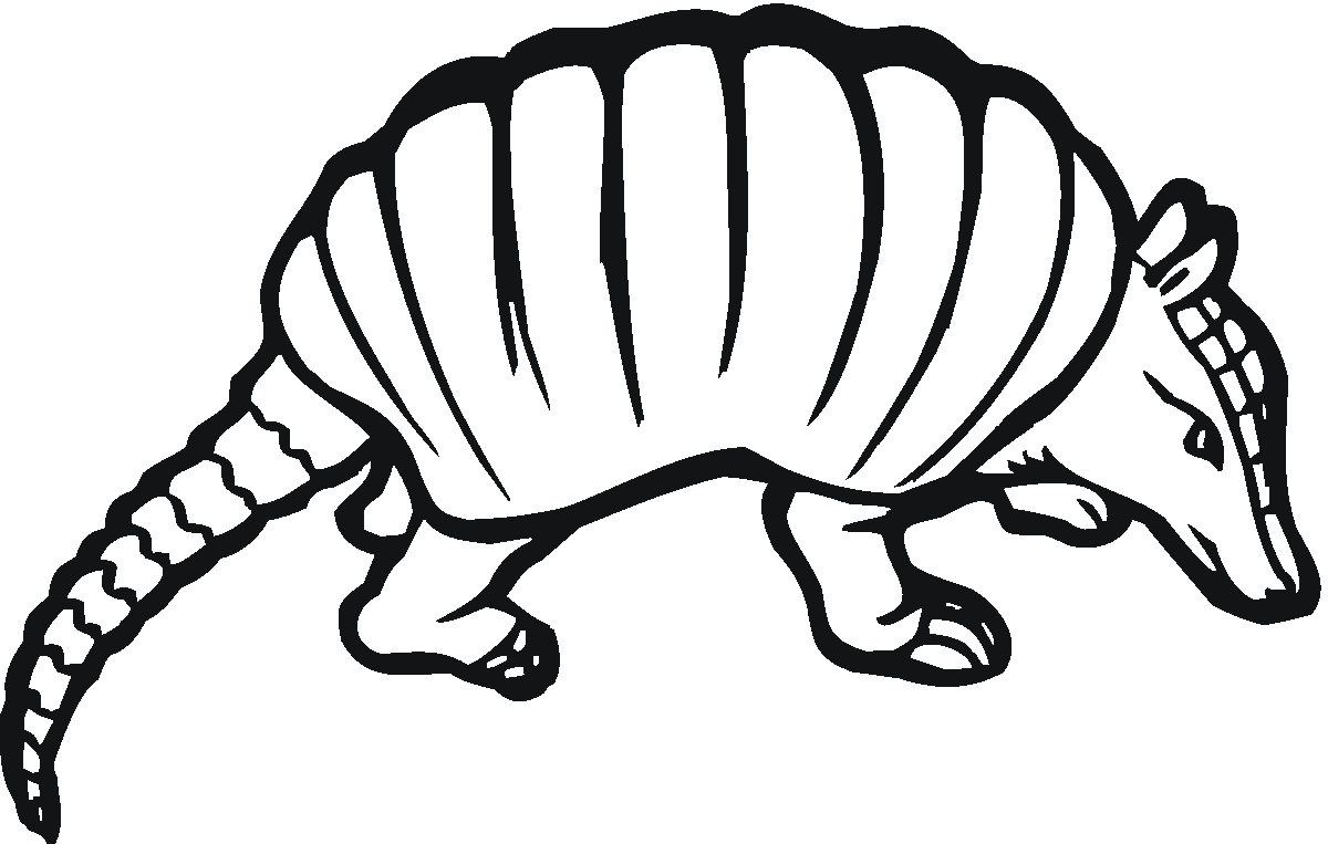 Armadillo Coloring Pages