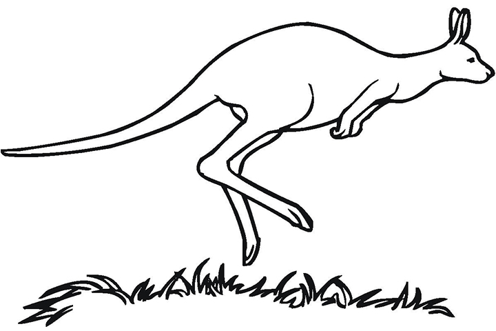Top 10 Free Printable Kangaroo Coloring Pages Online