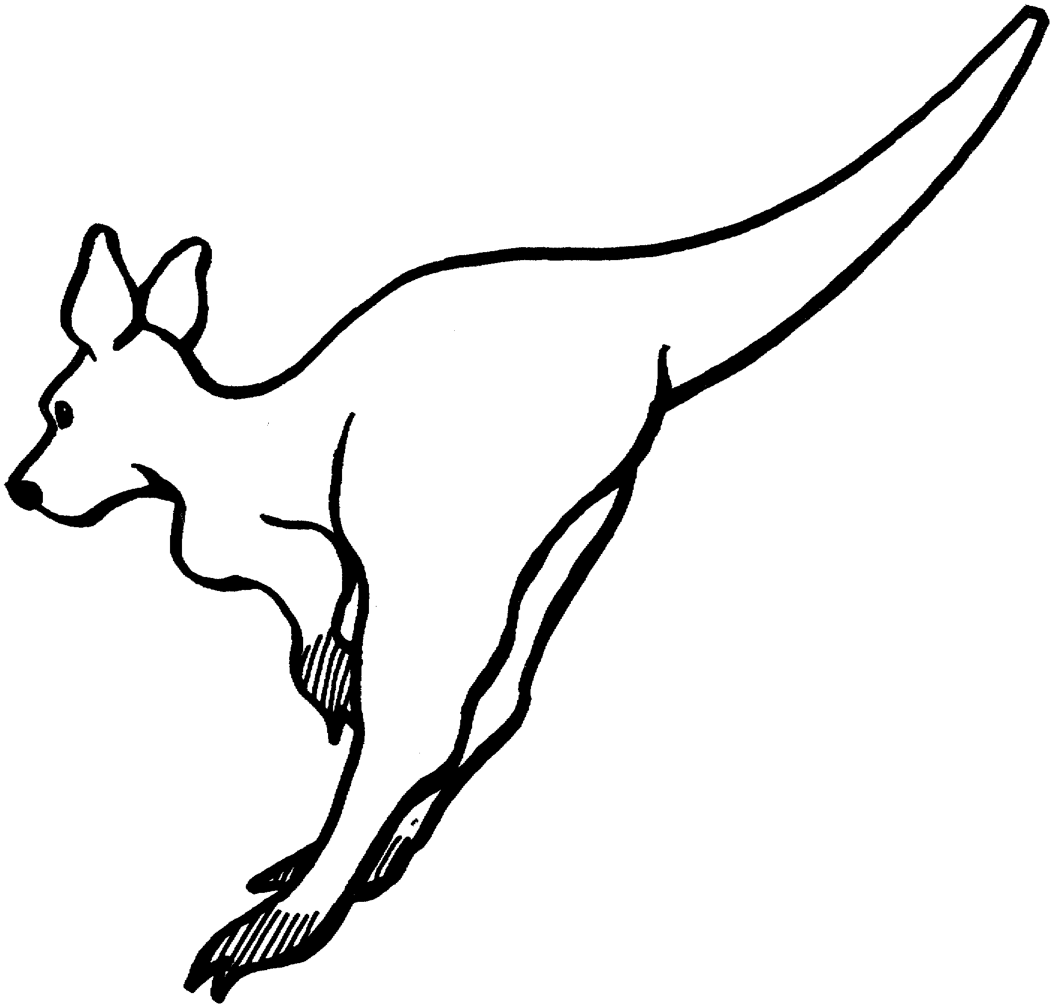 Download Animal Coloring Pages For Kids Kangaroo Or Print Animal ...