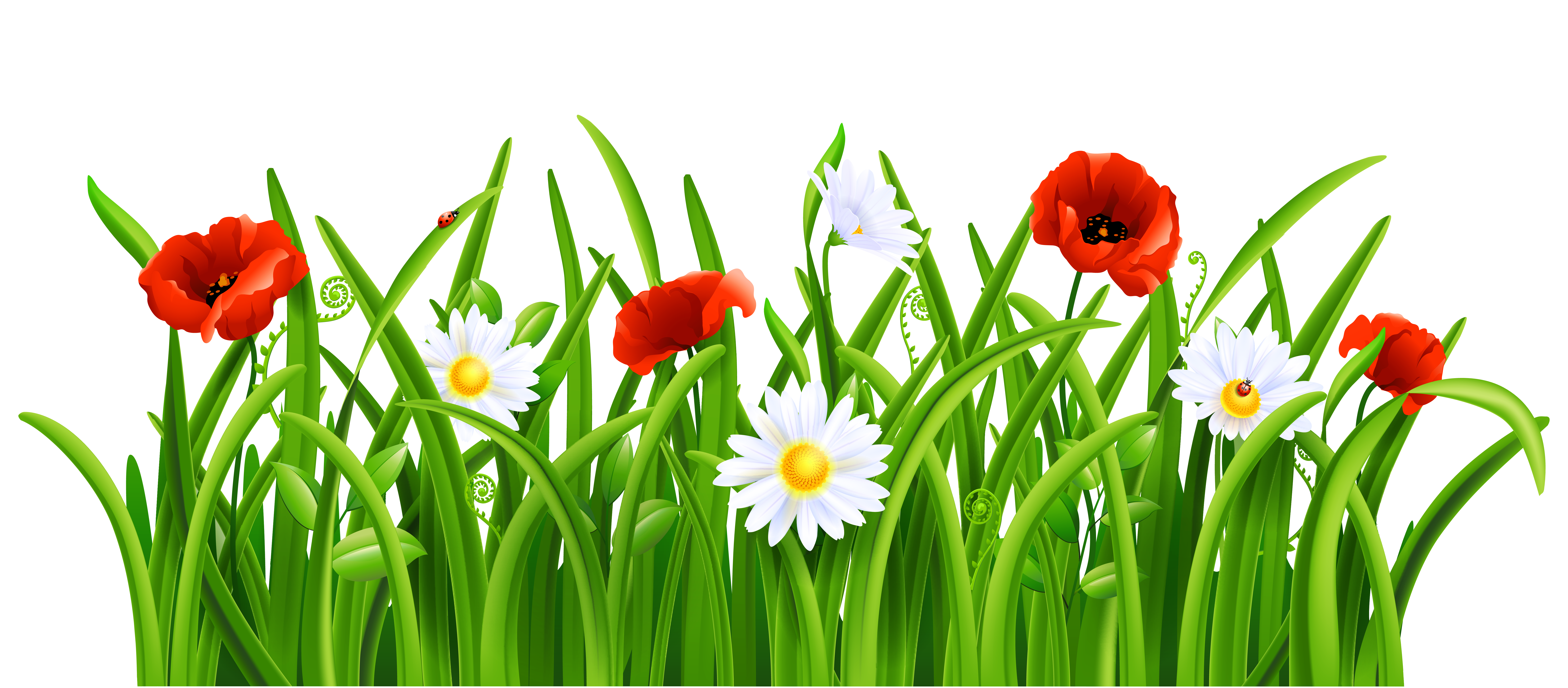 clip art free grass - photo #28