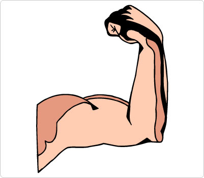 Muscle Arm Clip Art - Cliparts.co