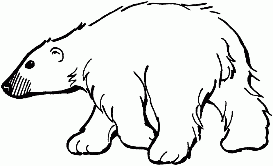 Polar Bear Coloring Pages For Kids Polar Bear Coloring Pages For ...