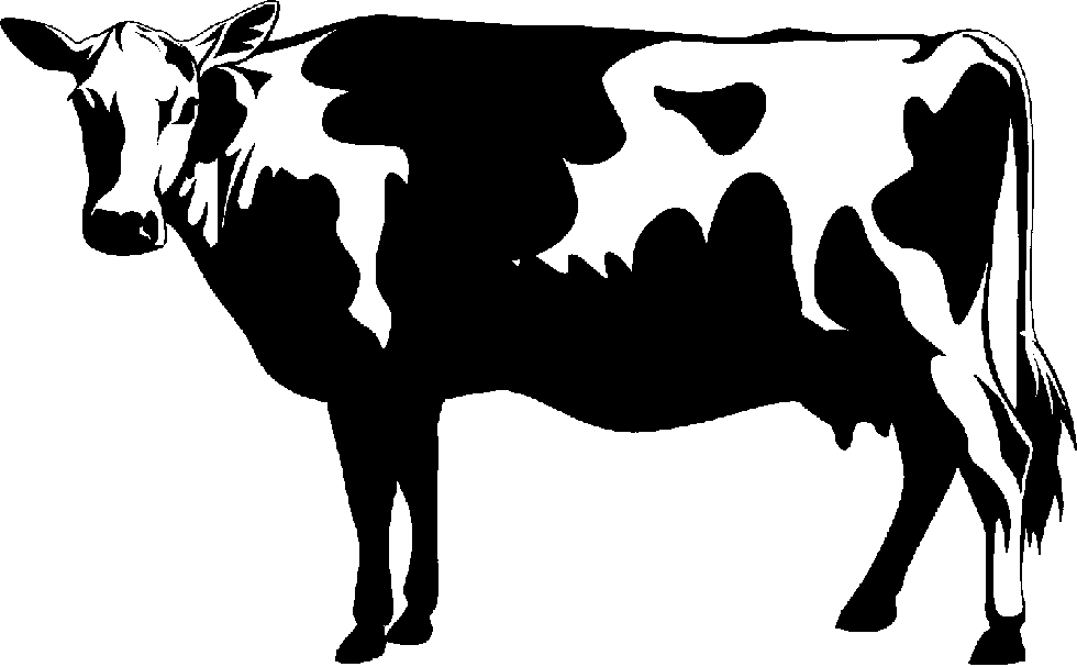 cow clipart vector - photo #17