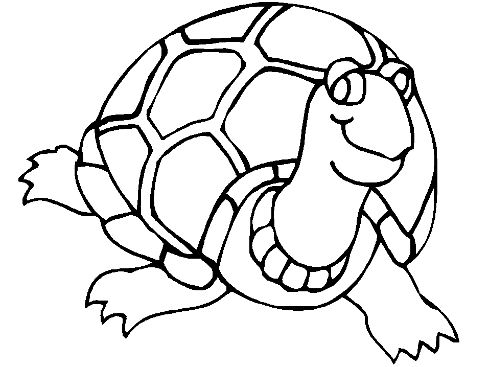 Cartoon Turtle Coloring Pages Widescreen 2 HD Wallpapers | amagico.com