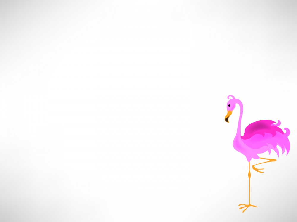Animal pelican PPT Backgrounds - Animals, Grey, Pink, White ...
