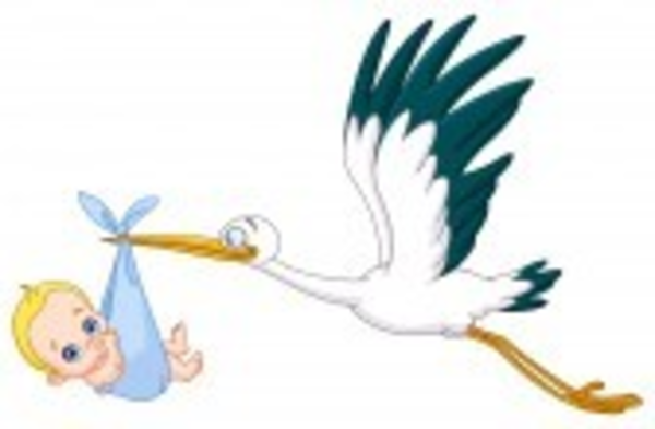 Stork Carrying A Baby Boy image - vector clip art online, royalty ...