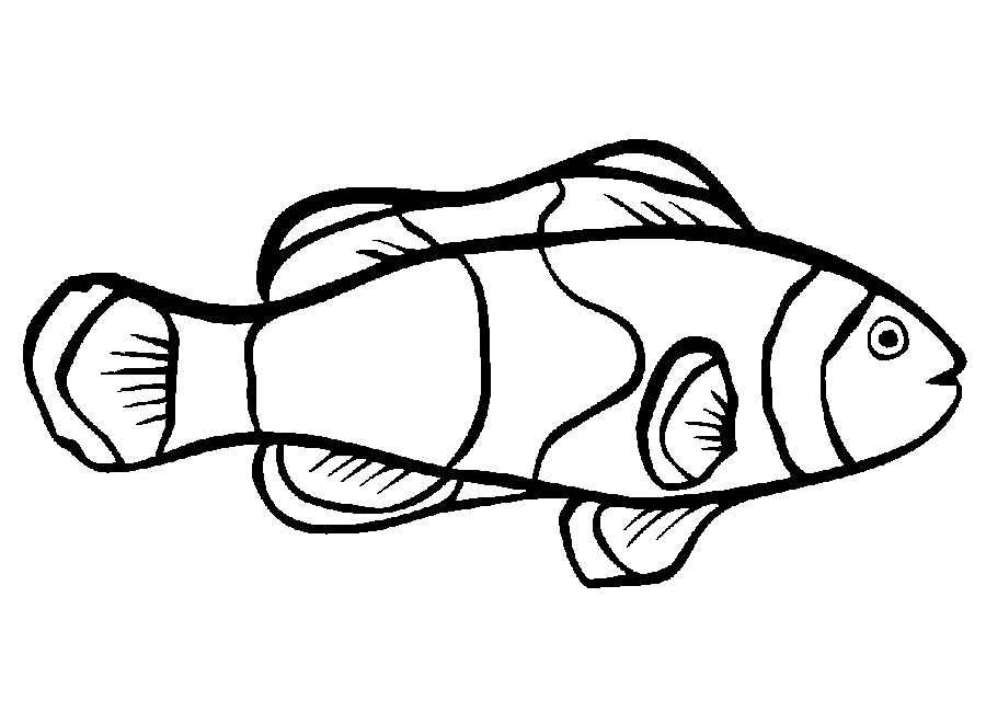 Fish Colouring Pictures | Fish Colouring