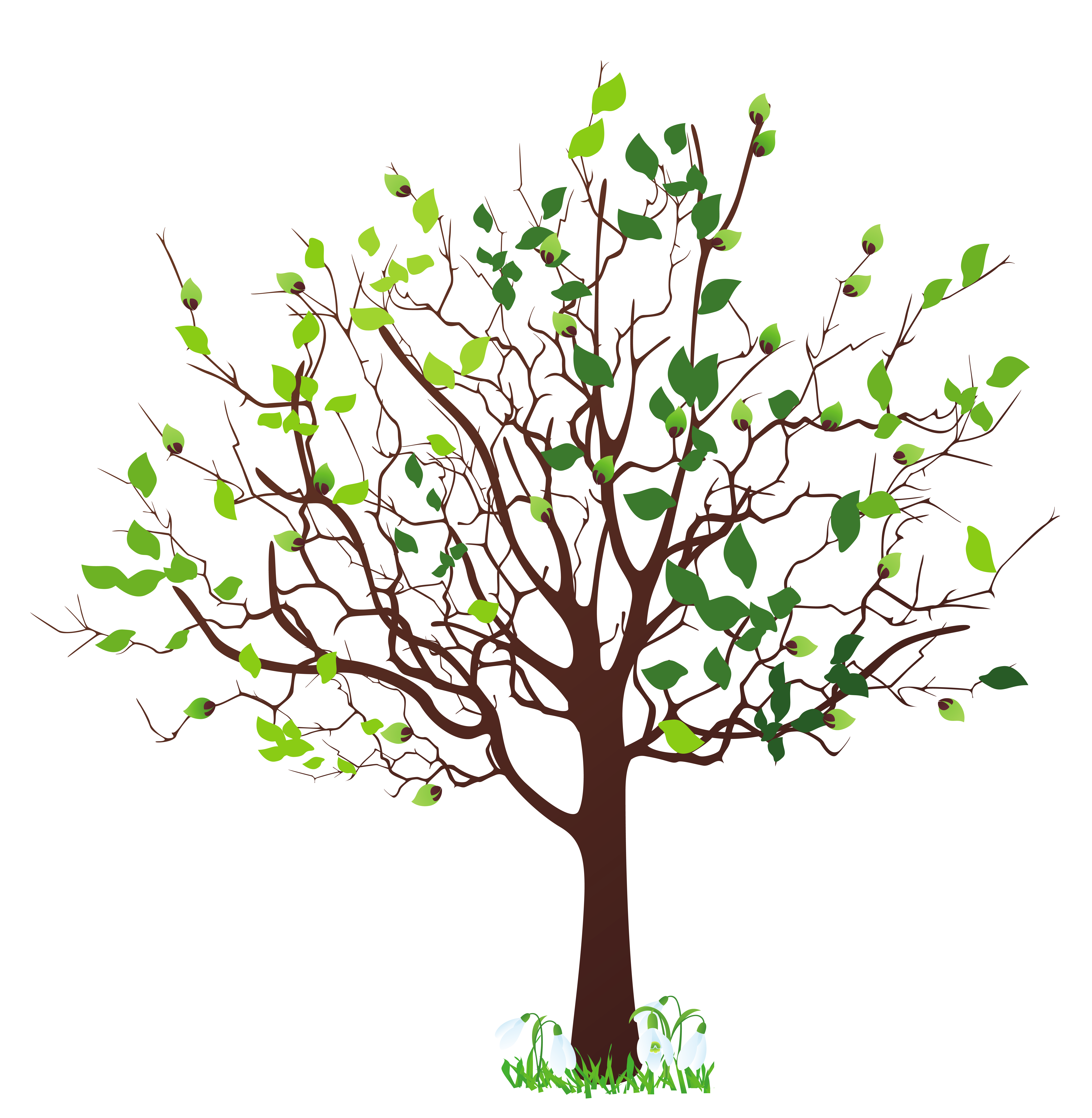 png clipart tree - photo #14