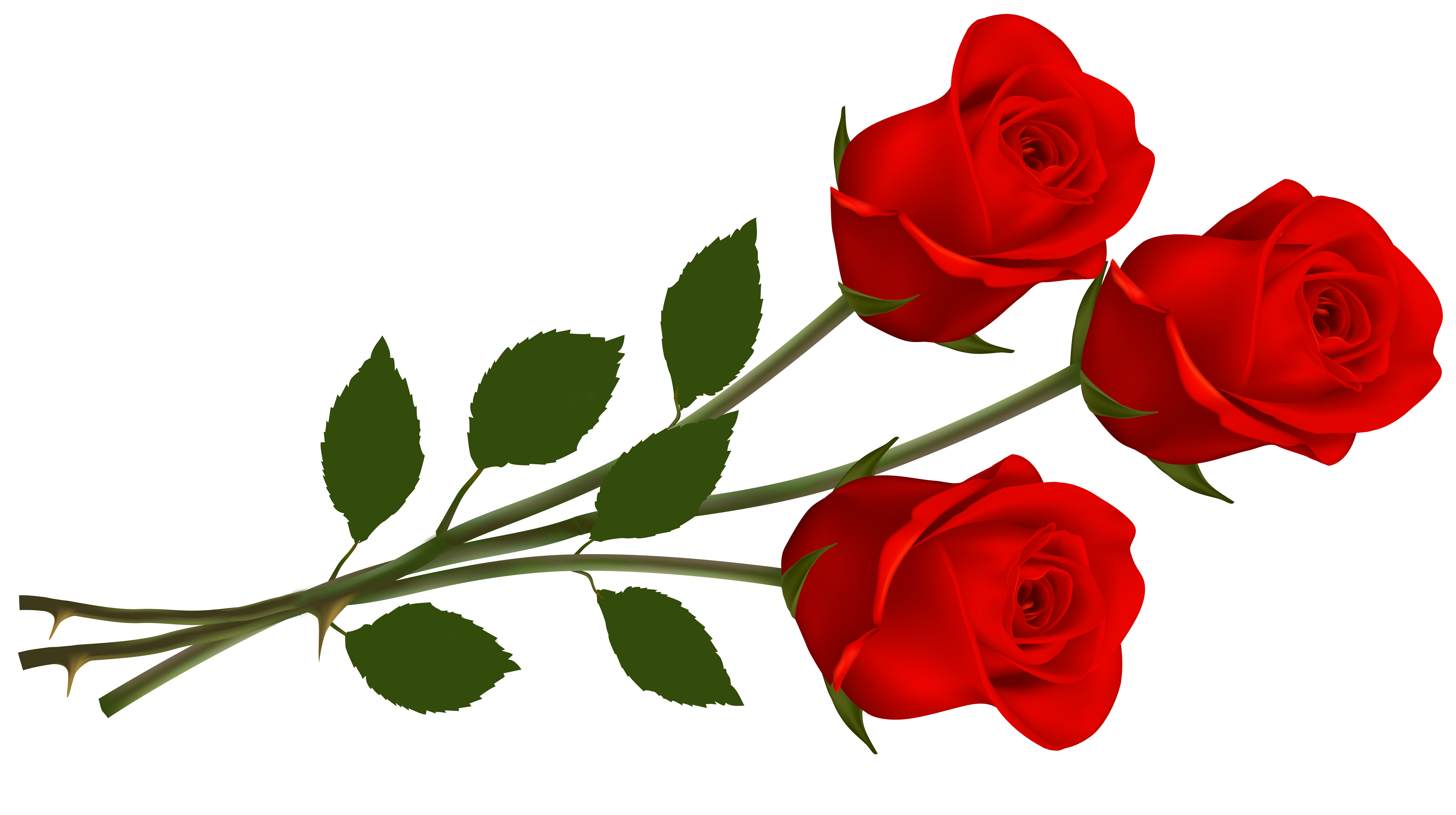 Roses PNG; Large Red Roses PNG | Clipart Panda - Free Clipart Images