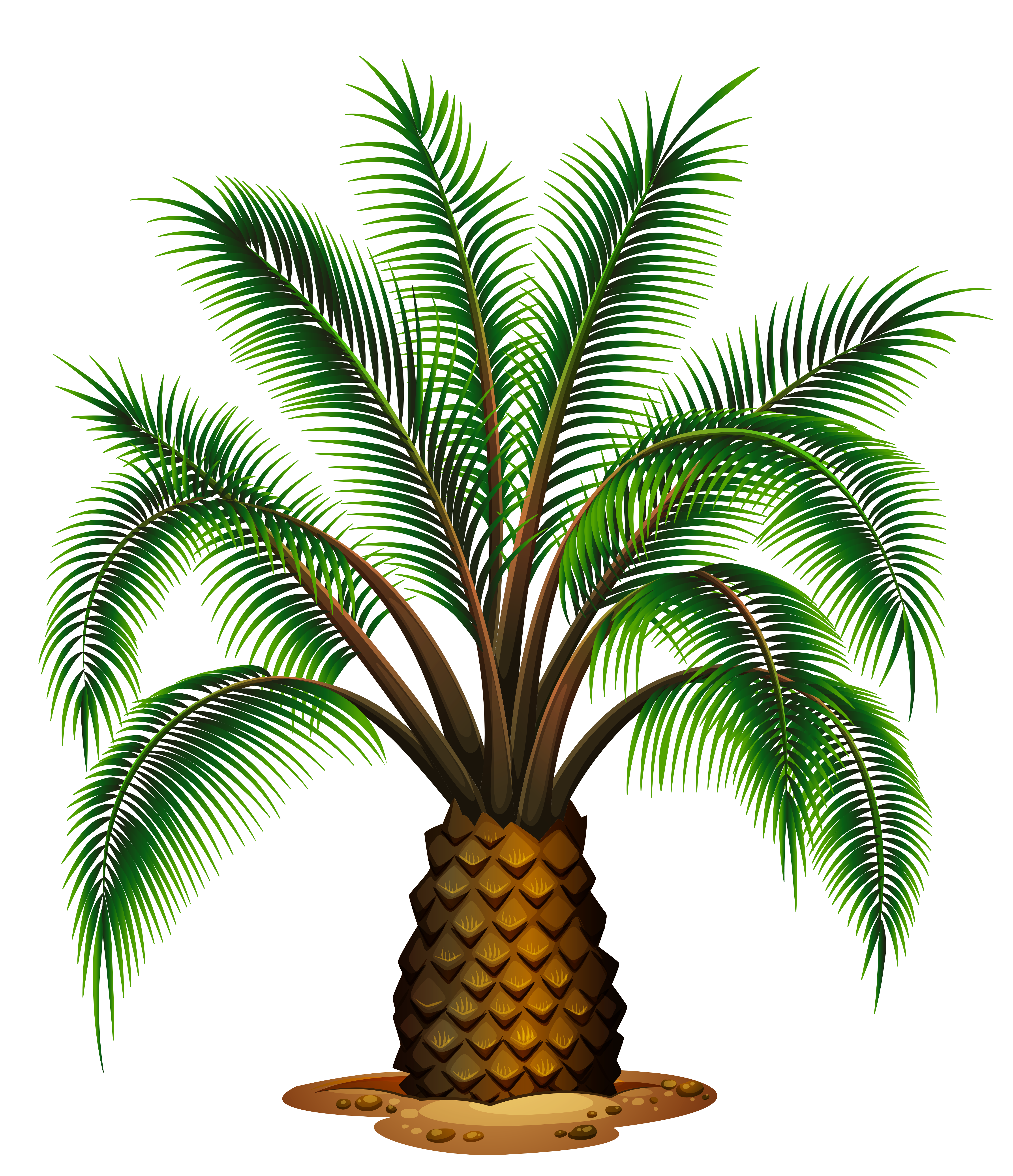 palm tree clip art transparent background - photo #19