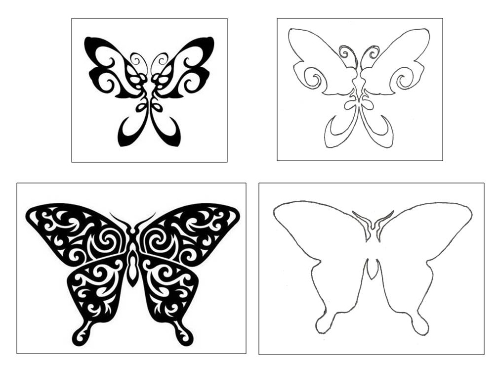 Butterfly Outline Template Images & Pictures - Becuo